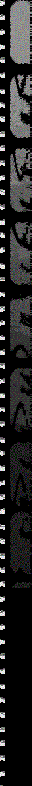 Background1